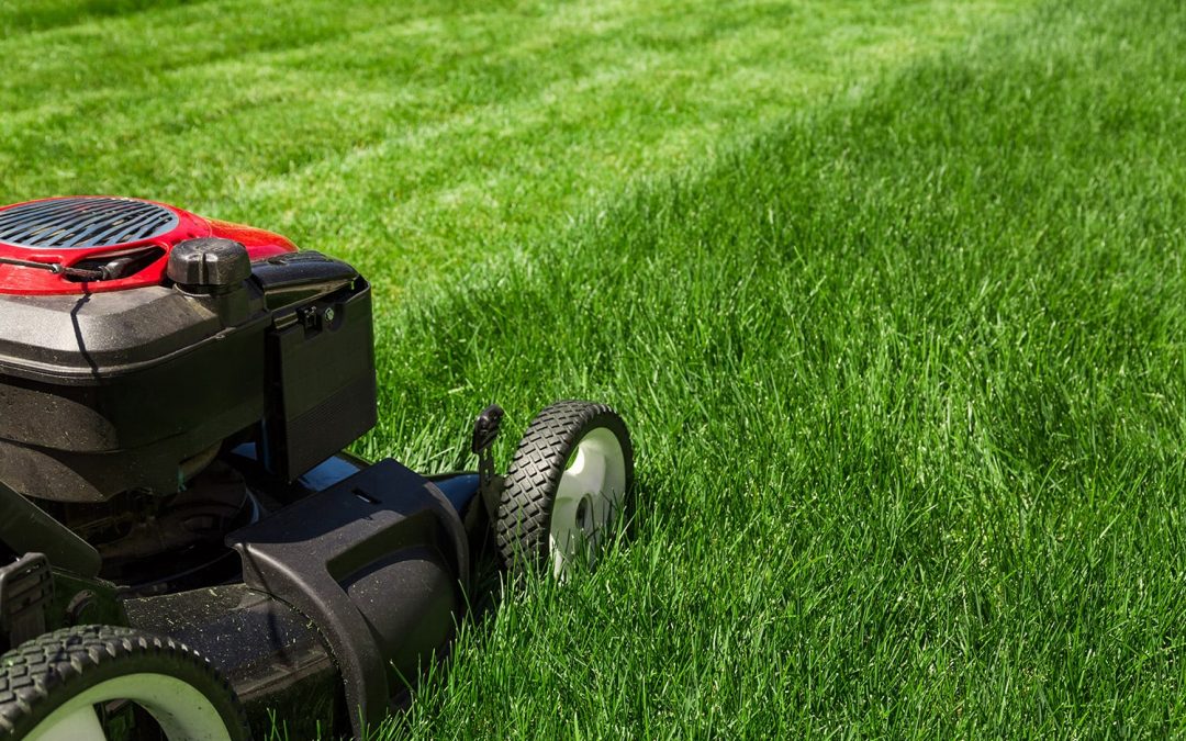 Lawn-Care-1080x675
